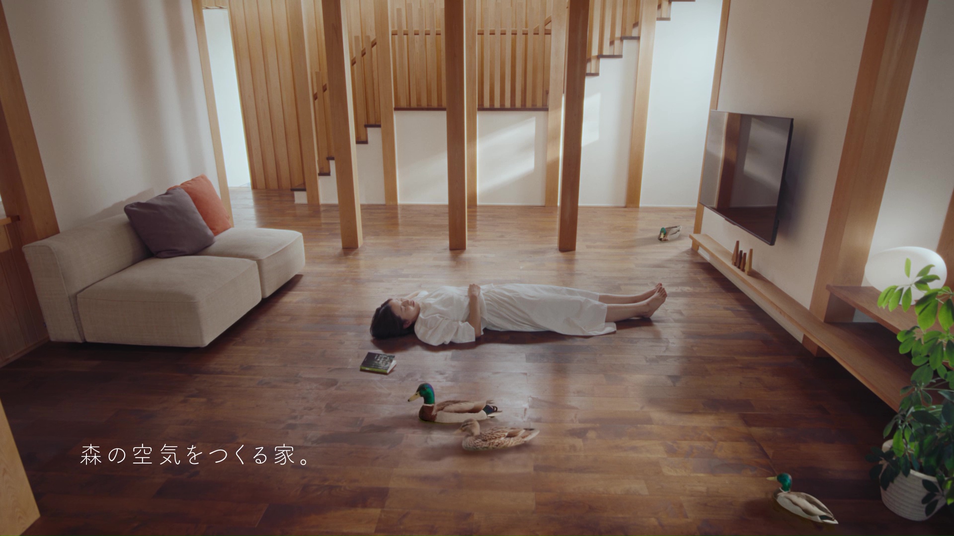 谷川建設WEB CM「家とカモ」篇